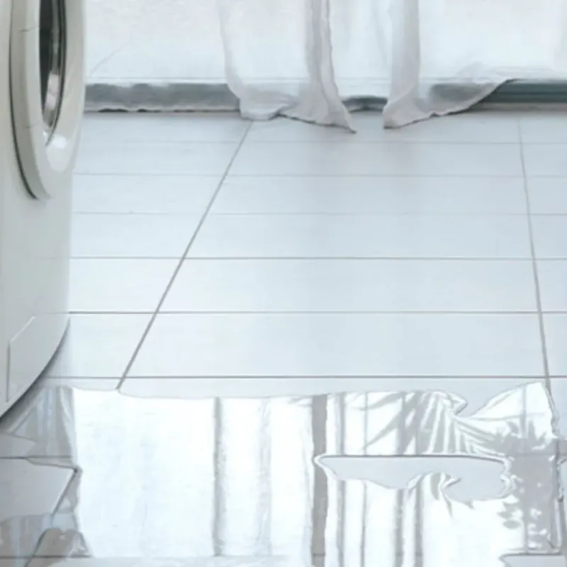 Appliance Leak Cleanup in Siloam Springs, AR