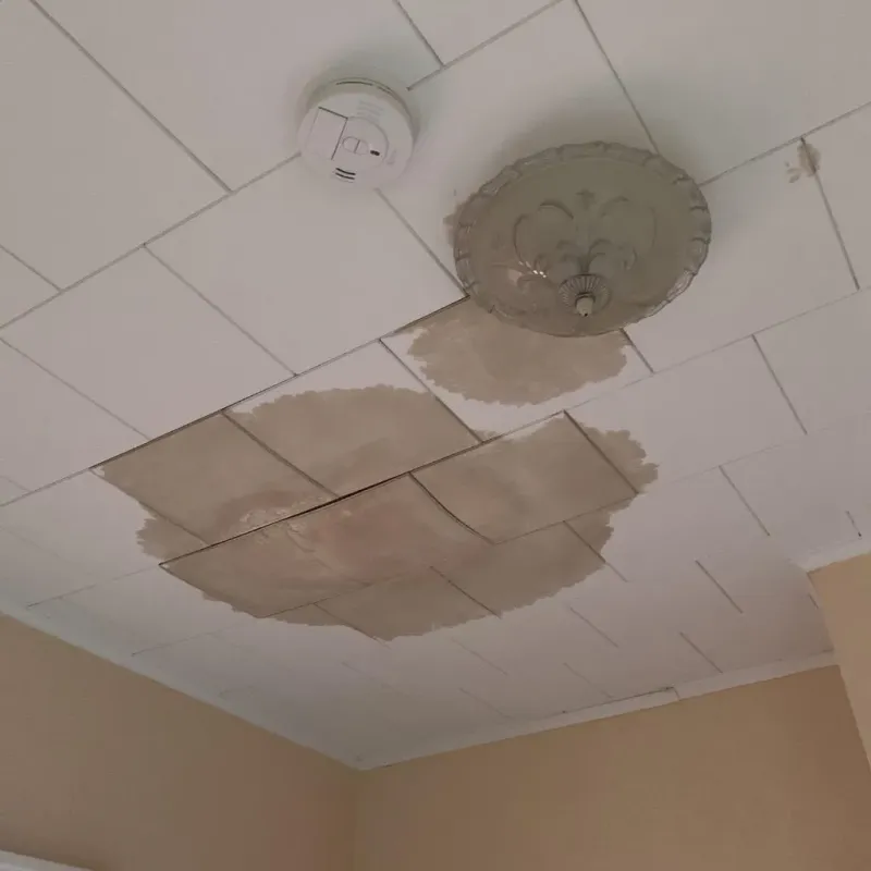 Ceiling Water Damage Repair in Siloam Springs, AR