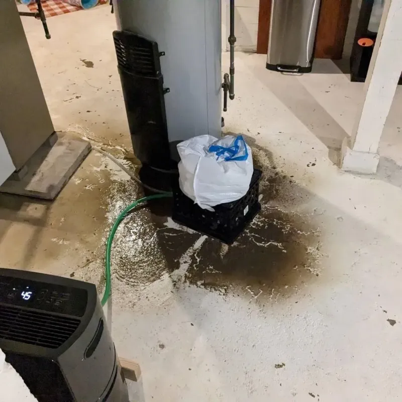 Sewage Backup Cleanup Service in Siloam Springs, AR